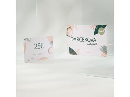 3843 darcekova poukazka vianocny motiv elektronicka 50